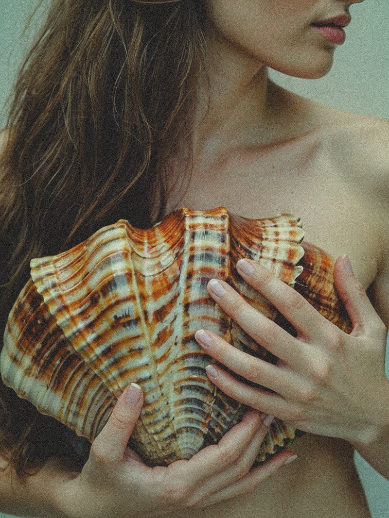 Woman holding a large ribbed shell against bare skin