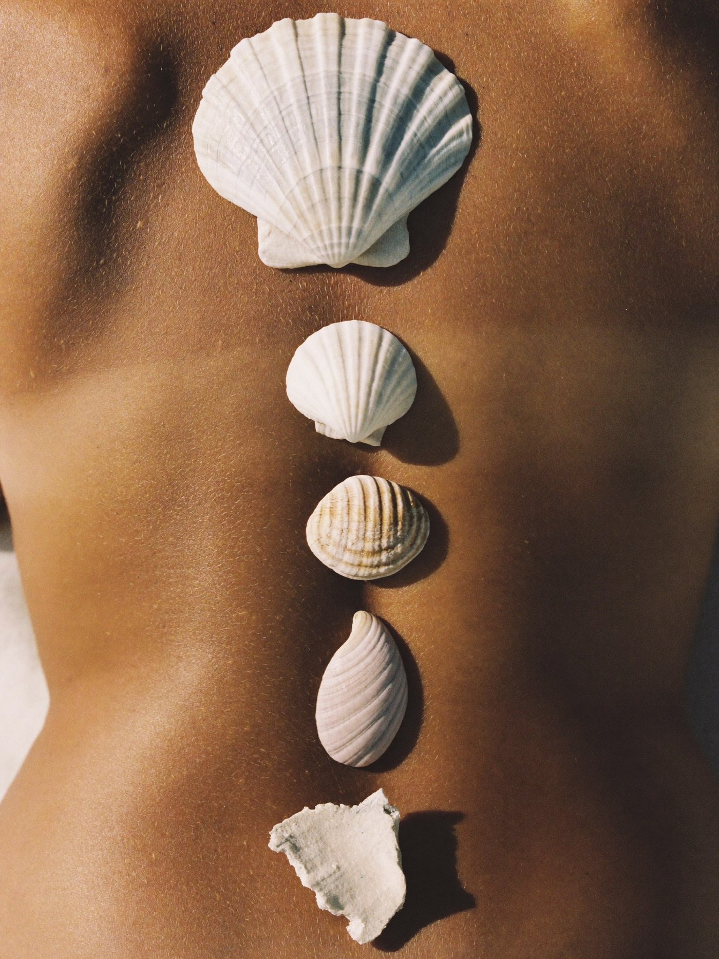 Seashells placed along a bare back, Full Back Lightening and Brightening Packages at Pink Laser Clinics