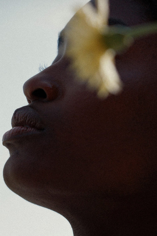 Profile of a woman with deep skin tone in soft shadow lighting