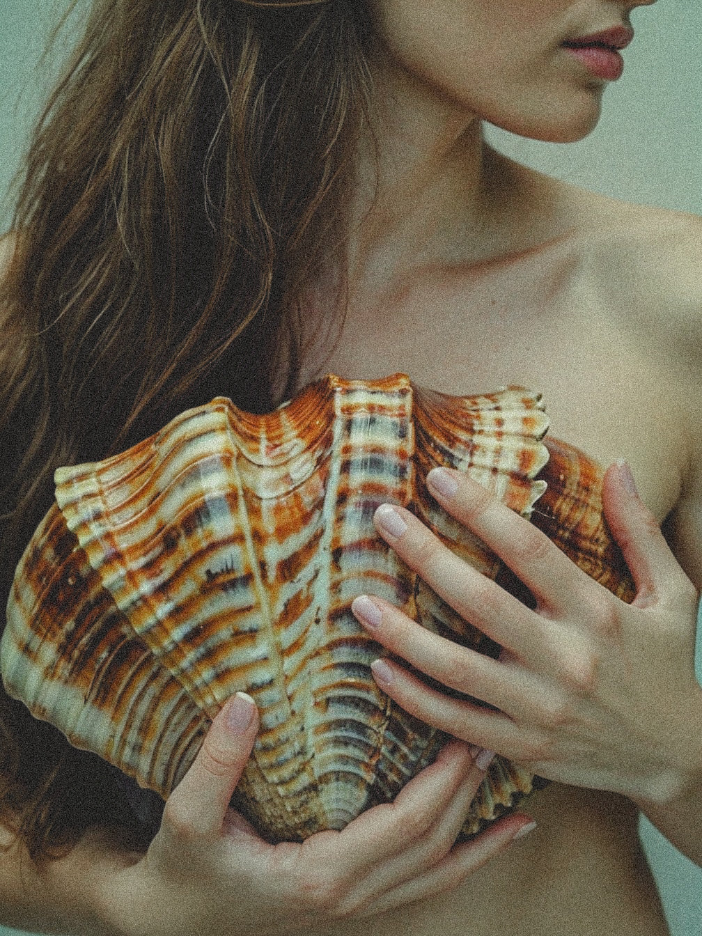 Woman holding a large ribbed shell against bare skin