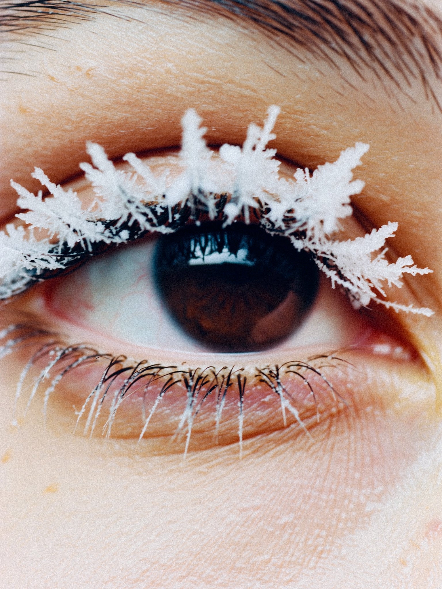 A close-up of an eye, snowflakes resting on the lashes.